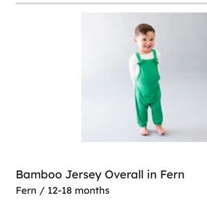 Jersey Overall in Fern